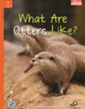 What Are Otters Like?