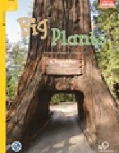 Big Plants
