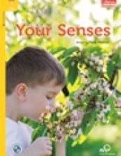 Your Senses